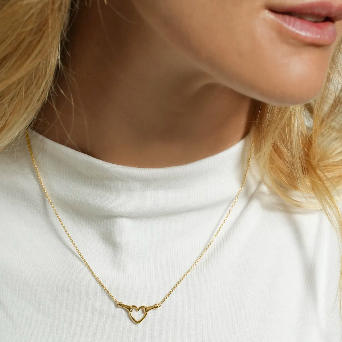 Collier AMEA porté