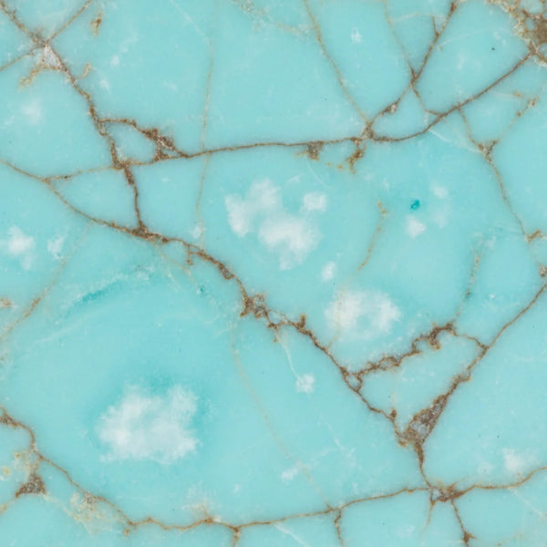 La Turquoise